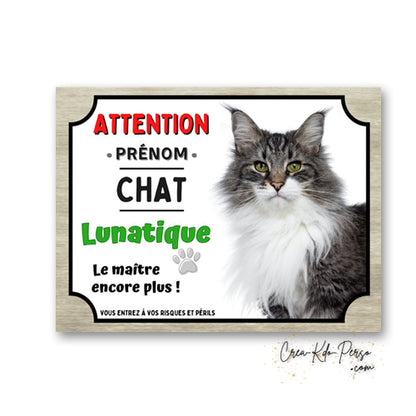 Plaque humoristique en aluminium avec chat Maine Coon tigré et blanc et texte Attention Chat Lunatique