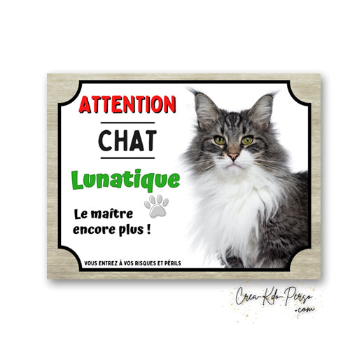 Plaque humoristique en aluminium avec chat Maine Coon tigré et blanc et texte Attention Chat Lunatique