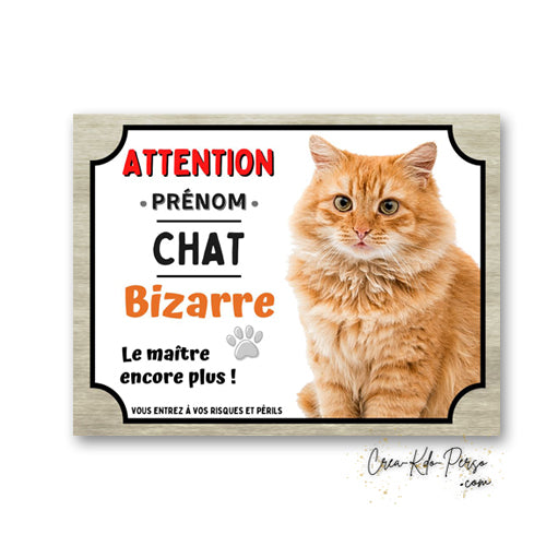 Plaque humoristique en aluminium avec chat roux fluffy poils longs et texte Attention Chat Bizarre