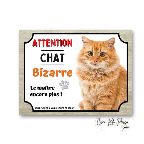 Plaque humoristique en aluminium avec chat roux fluffy poils longs et texte Attention Chat Bizarre