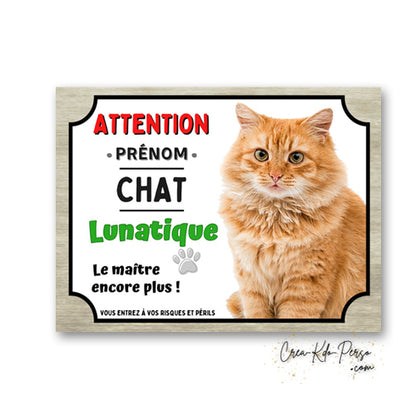 Plaque humoristique en aluminium avec chat roux fluffy poils longs et texte Attention Chat Lunatique