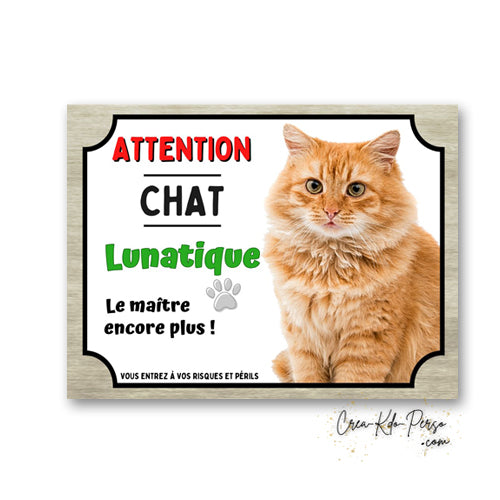 Plaque humoristique en aluminium avec chat roux fluffy poils longs et texte Attention Chat Lunatique