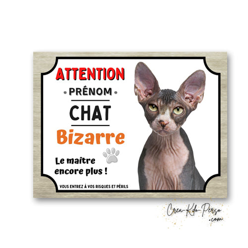 Plaque humoristique en aluminium avec chat Sphynx sans poil et texte Attention Chat Bizarre