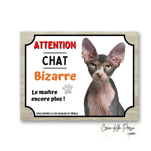 Plaque humoristique en aluminium avec chat Sphynx sans poil et texte Attention Chat Bizarre