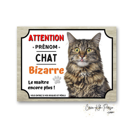 Plaque humoristique en aluminium avec chat tigré à poils longs rigolo et texte Attention Chat Bizarre