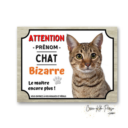 Plaque humoristique en aluminium avec chat européen tigré à poils courts et texte Attention Chat Bizarre