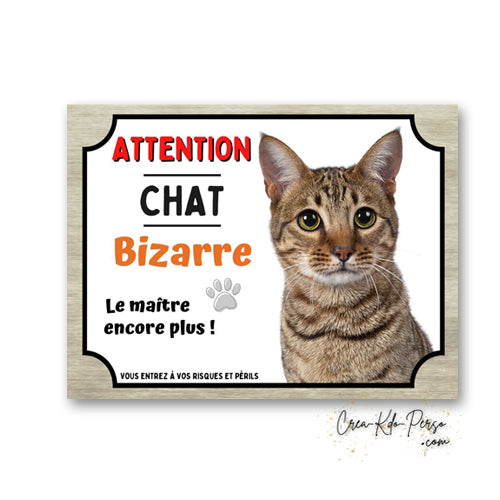 Plaque humoristique en aluminium avec chat européen tigré à poils courts et texte Attention Chat Bizarre