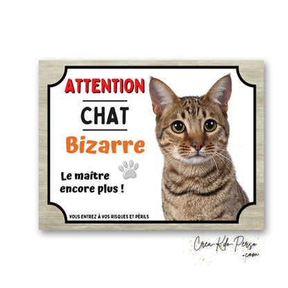 Plaque humoristique en aluminium avec chat européen tigré à poils courts et texte Attention Chat Bizarre
