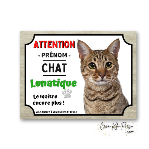 Plaque humoristique en aluminium avec chat européen tigré à poils courts et texte Attention Chat Lunatique