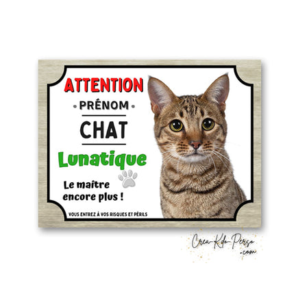 Plaque humoristique en aluminium avec chat européen tigré à poils courts et texte Attention Chat Lunatique