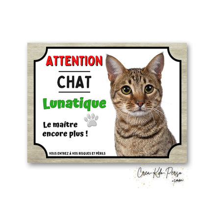 Plaque humoristique en aluminium avec chat européen tigré à poils courts et texte Attention Chat Lunatique