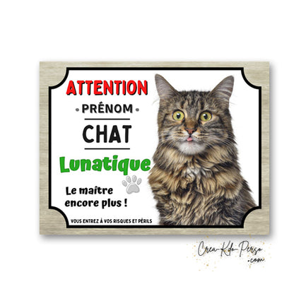 Plaque humoristique en aluminium avec chat tigré à poils longs rigolo et texte Attention Chat Lunatique