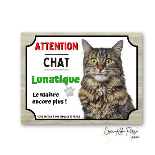 Plaque humoristique en aluminium avec chat tigré à poils longs rigolo et texte Attention Chat Lunatique