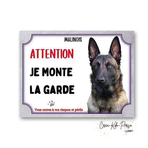 Plaque en aluminium Attention Malinois Je monte la garde avec portrait de Berger Belge, bordure violette et mention Vous entrez à vos risques et périls.