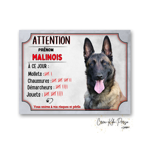 Plaque humoristique en aluminium Attention Malinois avec tableau des scores à ce jour (mollets, chaussures, démarcheurs, jouets) et portrait de Berger Belge.