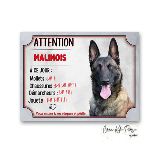 Plaque humoristique en aluminium Attention Malinois avec tableau des scores à ce jour (mollets, chaussures, démarcheurs, jouets) et portrait de Berger Belge.