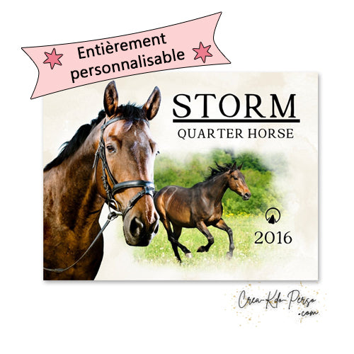 Plaque de box chevaux avec PERSONNALISATION COMPLÈTE photo texte couleurs panneau personnalisé