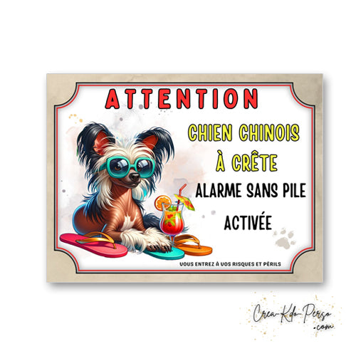 plaque attention au chien panneau de portail humour  alarme sans pile 