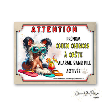 plaque attention au chien panneau de portail humour  alarme sans pile 