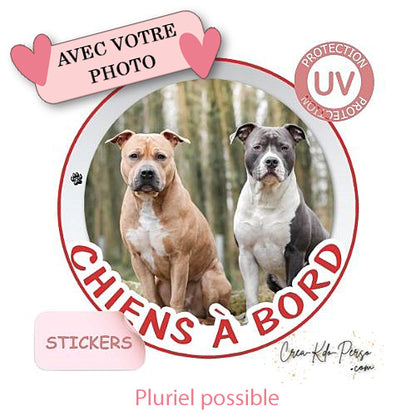 sticker chien à bord autocollant voiture personnalisé photo